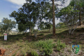 terrain LA LONDE-LES-MAURES 4220294_1