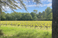 Maison TAVEL 4220595_3