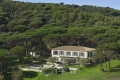 Maison RAMATUELLE 4221187_2