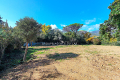 terrain LES ISSAMBRES 4220822_3