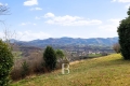 Maison SARE 4226850_1