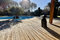 Maison SANGUINET 4226227_3