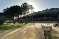 Maison UZES 4226676_3