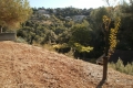 terrain NICE 4227059_3