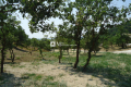 terrain GRIMAUD 4227327_1