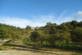 terrain GRIMAUD 4227327_2