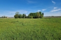 terrain ST-PIERRE-DE-MONS 4228667_1
