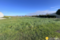 terrain MORTAGNE SUR GIRONDE 4229217_1