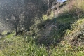 terrain GORBIO 4230180_1