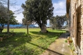 Maison CABRIERES D'AVIGNON 4231089_3