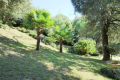 Maison ROYAN 7 pi&egrave;ces 4232150_2