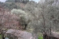 Maison TOURRETTE-LEVENS 4235963_2