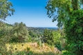 terrain GRASSE 4237400_0