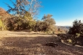 terrain GRASSE 4237400_2
