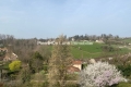 Appartement ST-DIDIER-AU-MONT-D'OR 4236895_3
