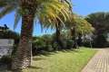 Appartement LA GRANDE-MOTTE 4237533_1