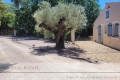 Maison LES ARCS-SUR-ARGENS 4239530_3