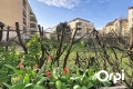 Appartement VILLEURBANNE 4240740_2