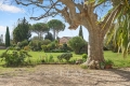 Maison ALTHEN-DES-PALUDS 4241355_1