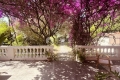 Maison CANNES 4243279_3