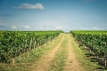 Maison ST-EMILION 4249594_0