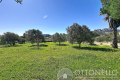 terrain ROQUEBRUNE-SUR-ARGENS 4254508_2