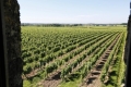 Maison ST-EMILION 4259884_3
