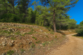 terrain SOLLIES-TOUCAS 4260688_1