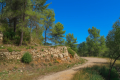 terrain SOLLIES-TOUCAS 4260688_2