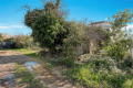 terrain LE LAVANDOU 4262381_3