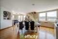 Appartement VIENNE 4264596_2