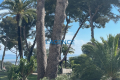 Appartement HYERES 4267635_1