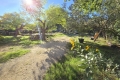Maison MONTAREN-ET-ST-MEDIERS 4268564_2