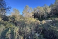 terrain ROQUEFORT-LES-PINS 4274101_0
