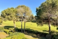 Appartement ST-RAPHAEL 4275050_3