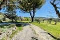 Bien ST-ROMAIN-EN-VIENNOIS 4275053_3