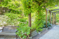 Maison SURESNES 4275929_3