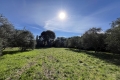 terrain UZES 4278067_0