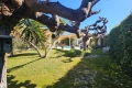 Maison BOUZIGUES 6 pi&egrave;ces 4282068_2