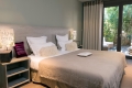 Appartement CALUIRE-ET-CUIRE 4282101_2