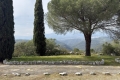 Maison ROQUEFORT-LES-PINS 4284310_2