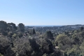 Appartement MOUGINS 4287010_0