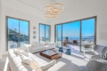 Maison CANNES 4287003_3