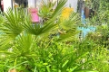 Appartement LA LONDE-LES-MAURES 1 pi&egrave;ces 4287154_0