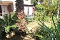 Appartement LA LONDE-LES-MAURES 1 pi&egrave;ces 4287154_1