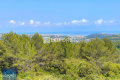 Maison ROQUEFORT-LES-PINS 4287824_1