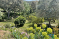 Maison LA LONDE-LES-MAURES 4288745_0