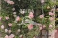 Maison GUERANDE 4290414_1