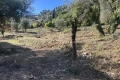 terrain FALICON 4292206_0
