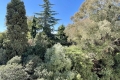Apartment CANNES 4 rooms 4292147_1